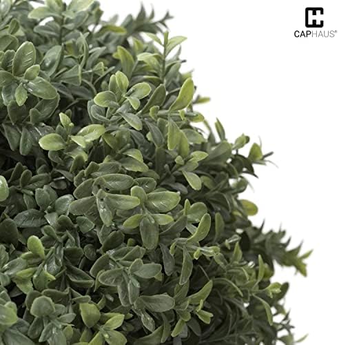 Add a Little Greenness to Your Decor