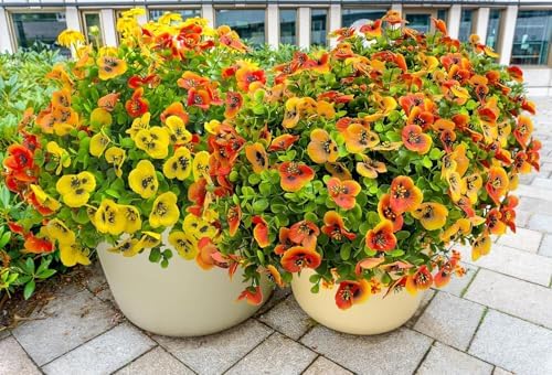 12-Piece Autumn Artificial Flowers UV-Resistant Realistic