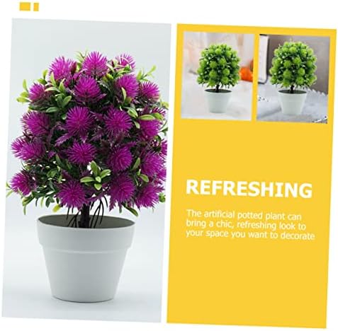 Personalized Miniature Green Potted Plant Decor 2PC Set