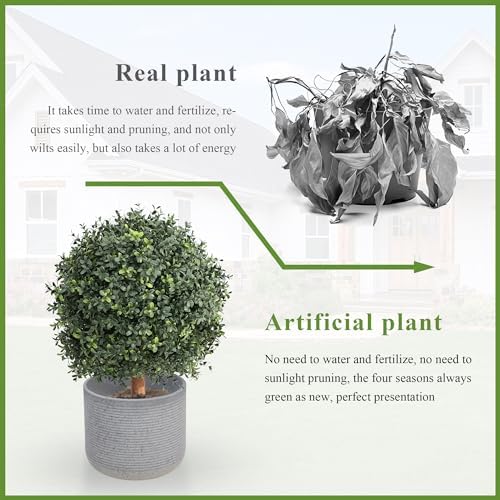 Momoportal Boxwood Cypress Tree Topiary