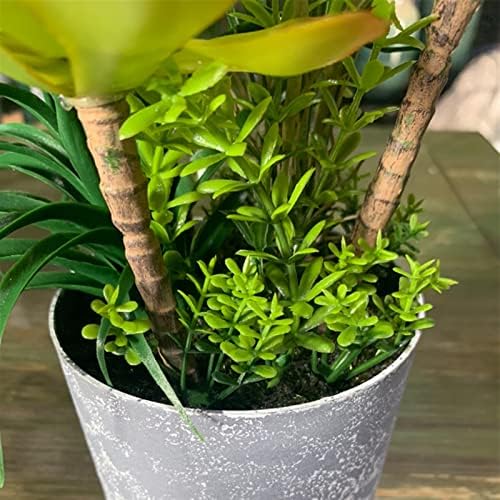 FAFACAI Artificial Bonsai Tree with Gray Color