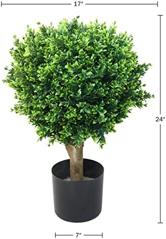 Stalwart Hedyotis Topiary Set of Two