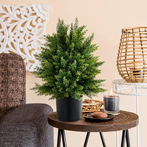 22 Cedar Topiary for Home Outdoor Spaces