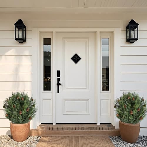 OAZALDA UV Resistant Cedar Topiary Trees Set of 2