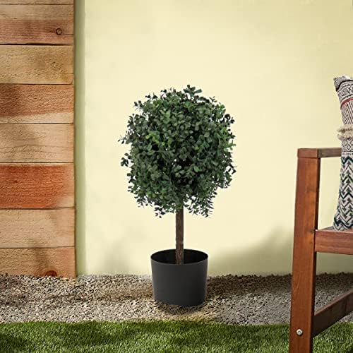 Natural Boxwood Potted Topiary for Your Home