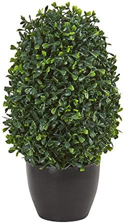 Perfect 13 Boxwood Topiary for Entryway