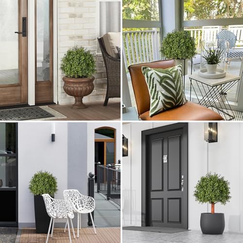 Elegant Boxwood Topiaries