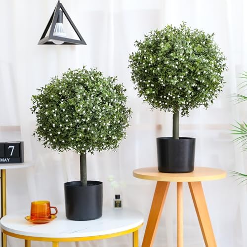 Veryhome Boxwood Topiary Set