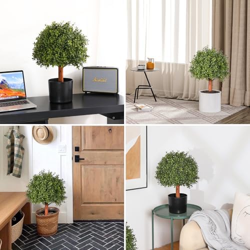 Elegant Boxwood Topiaries