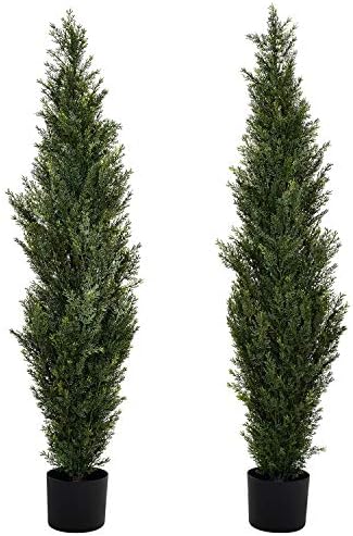 Forty-Foot Spiral Cedar Topiaries for Home Office