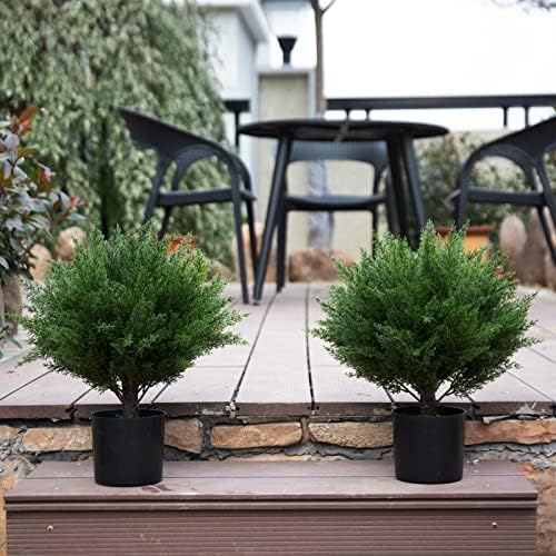 17 Real-Cedar Topiary_SIM Kids