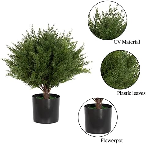 17 Real-Cedar Topiary_SIM Kids