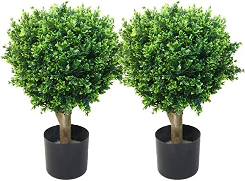 Stalwart Hedyotis Topiary Set of Two