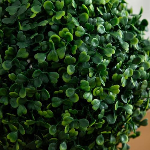 35 Realistic Boxwood Topiary for Home Decor