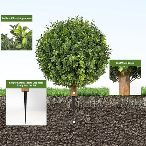Natural-LOOKING Boxwood Topiary