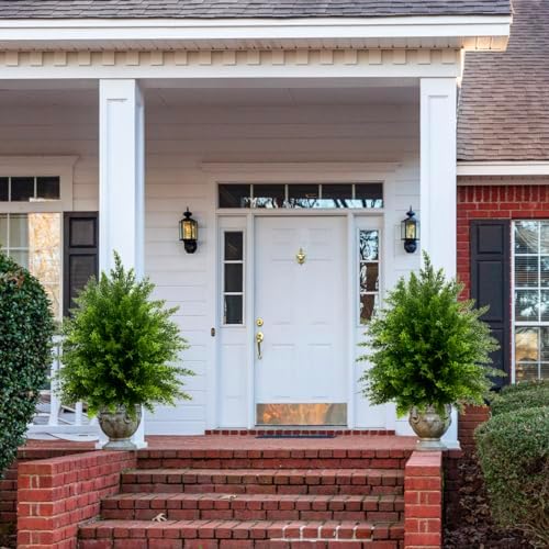 2-Pack Artificial Cedar Topiary Balls for Indoors and Outdoors