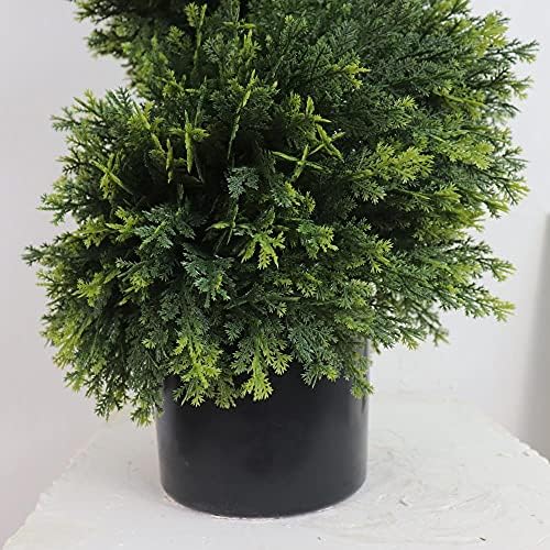 Front Porch Boxwood Topiary