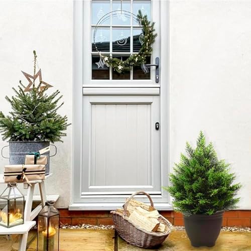 Authentic Realistic Cedar Christmas Tree