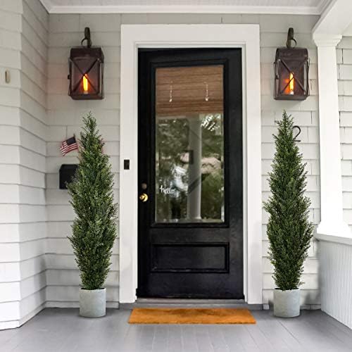 Forty-Foot Spiral Cedar Topiaries for Home Office