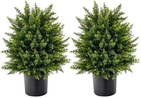 22 Cedar Topiary for Home Outdoor Spaces