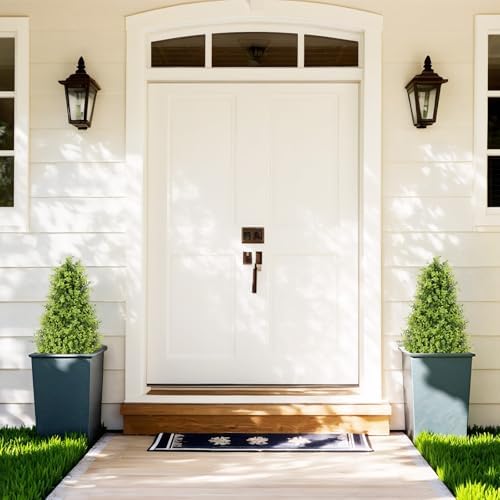 Realistic Boxwood Outdoor Topiaries