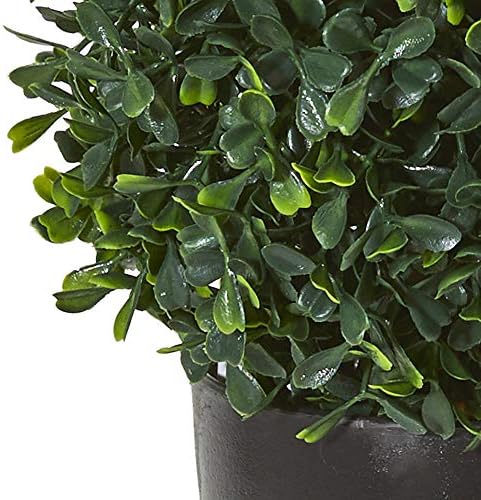 Perfect 13 Boxwood Topiary for Entryway