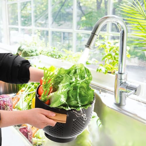 Dicunoy Metal Colander with Wood Handle