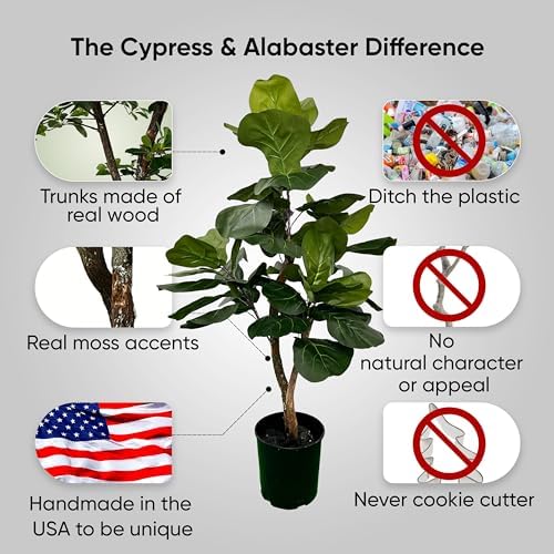 Eco-Friendly 3ft Fig Ficus Tree