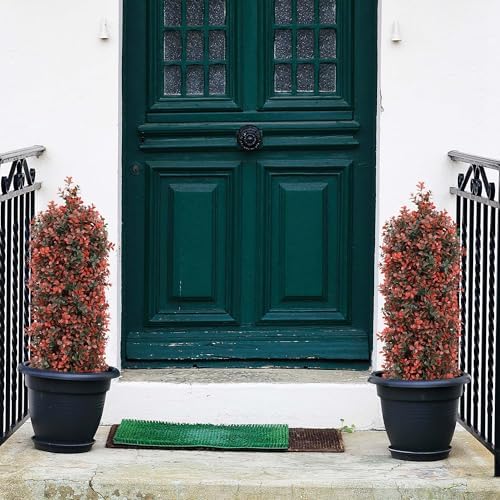 THE BLOOM TIMES 3ft Boxwood Topiary Set