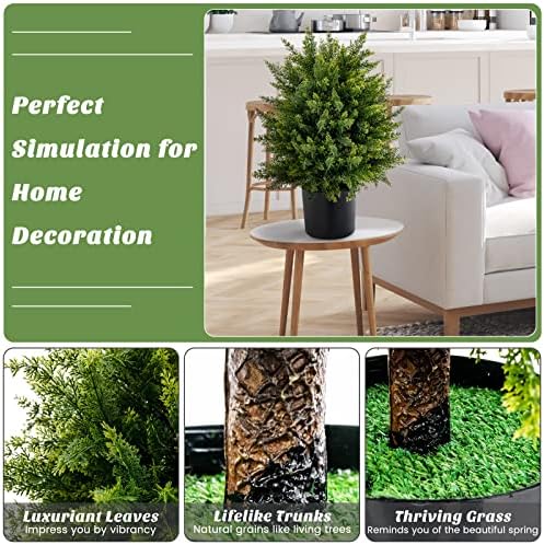 22 Cedar Topiary for Home Outdoor Spaces