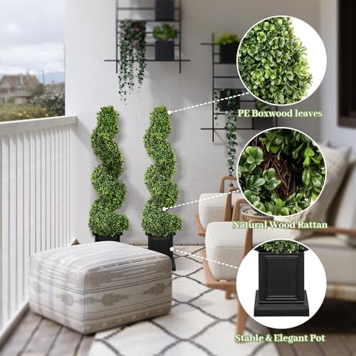 Boxwood Spiral Topiary Set of 2 35ft Tall