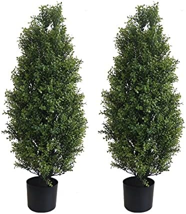 Leung Group 2-Pack 3 Cedar Cypress Potted Topiaries