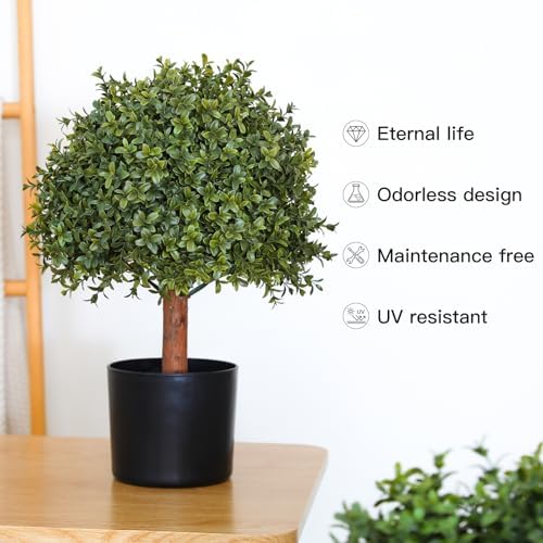 Elegant Boxwood Topiaries