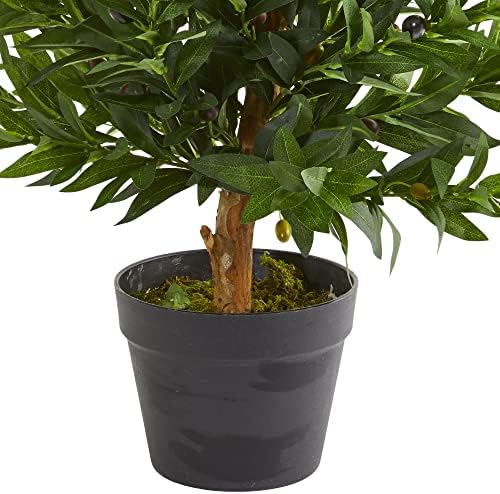 Distinctive Olive Tree Topiary