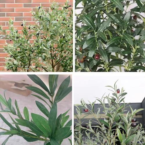 Nordic Style Olive Tree for Home and Living Room