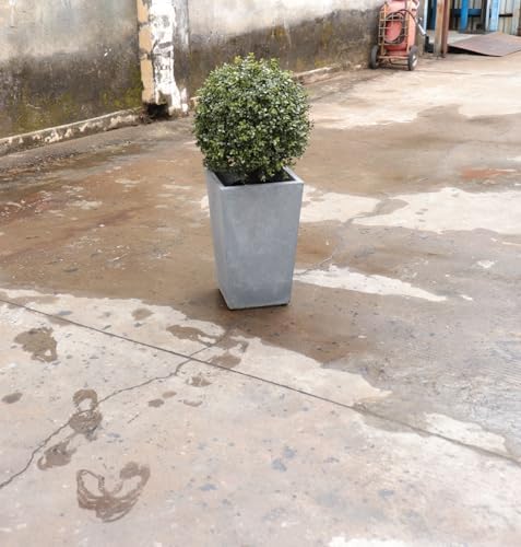 24 Faux Boxwood Outdoor Topiary Set of 2