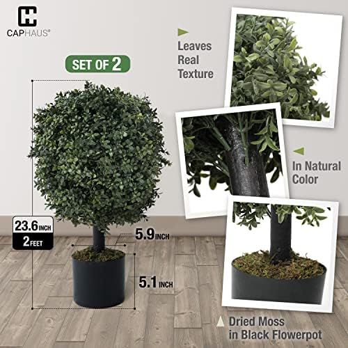 Add a Little Greenness to Your Decor
