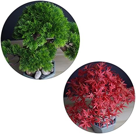 Versatile Indoor Bonsai Tree Decor