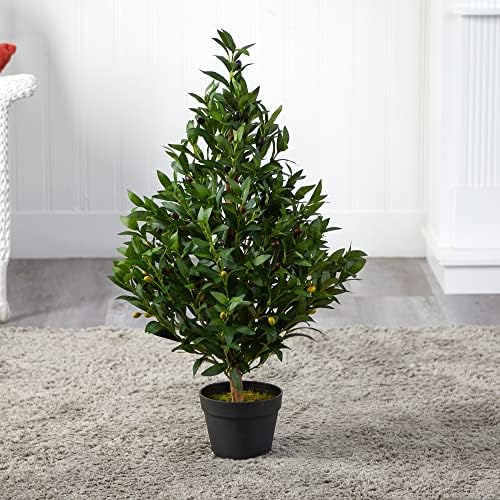 Distinctive Olive Tree Topiary