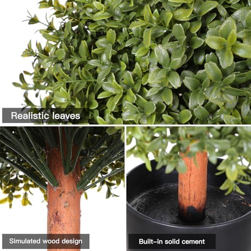 Elegant Boxwood Topiaries