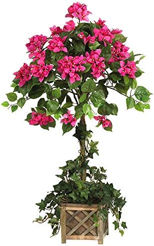 Bougainvillea Topiary 34in