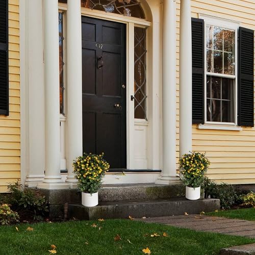 OAZALDA 2 Pack Artificial Boxwood Stems with Small Yellow Flowers Topiary Bonsai 25