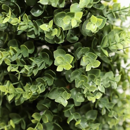 32 Boxwood Topiary - Realistic Veg sodall