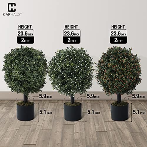 Add a Little Greenness to Your Decor