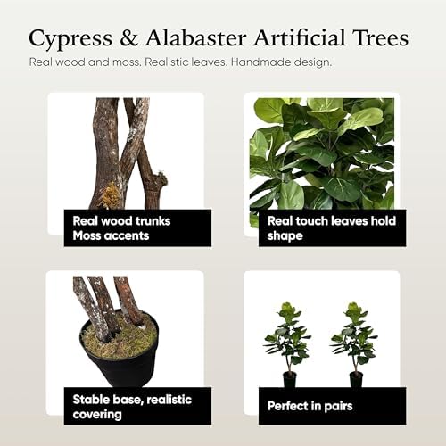 Eco-Friendly 3ft Fig Ficus Tree