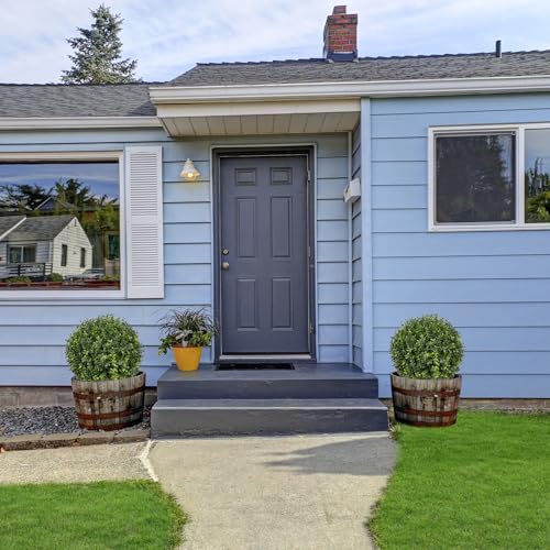 Natural-LOOKING Boxwood Topiary