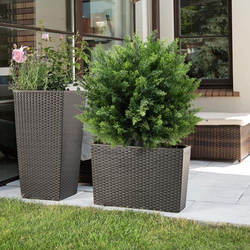 GZFDY 21-Inch Artificial Cedar Ball Trees Set of Two