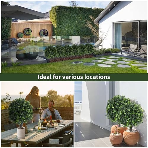 LXNRMHCH Boxwood Topiary Set of 2