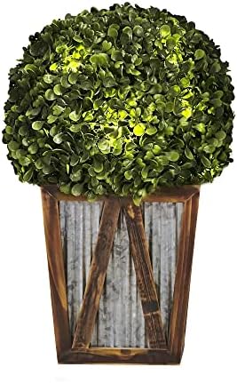 Teamson Home Solar-Powered LED Boxwood Topiary