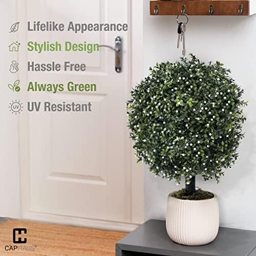 Add a Little Greenness to Your Decor